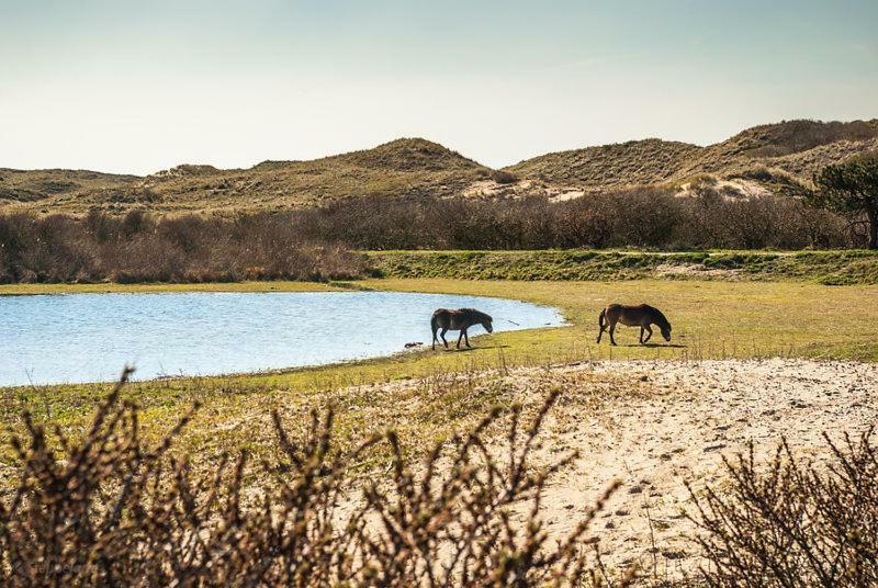 Het Hoekhuisje Egmond aan Zee Εξωτερικό φωτογραφία